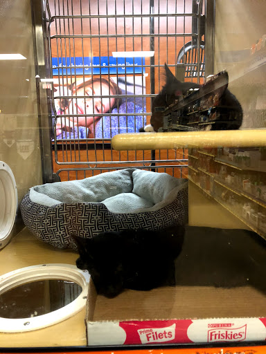 Pet Supply Store «PetSmart», reviews and photos, 238 Atlantic Ave, Brooklyn, NY 11201, USA