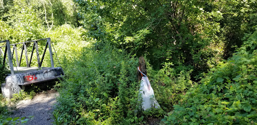 Nature Preserve «Brookside Preserve», reviews and photos, N Brookside Ave, Roosevelt, NY 11575, USA