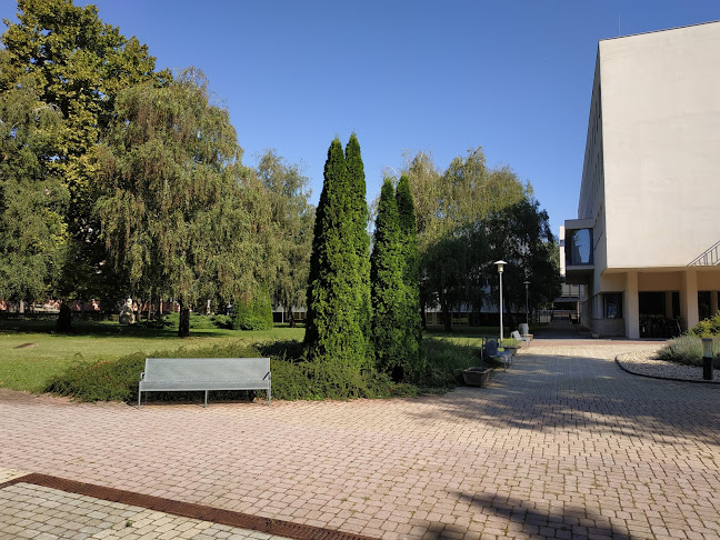 Nyíregyházi Egyetem - Egyetem