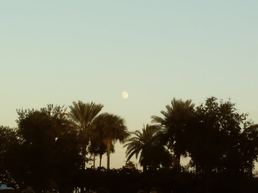 Community Center «St Petersburg Beach Community Center», reviews and photos, 7701 Boca Ciega Dr, St Pete Beach, FL 33706, USA