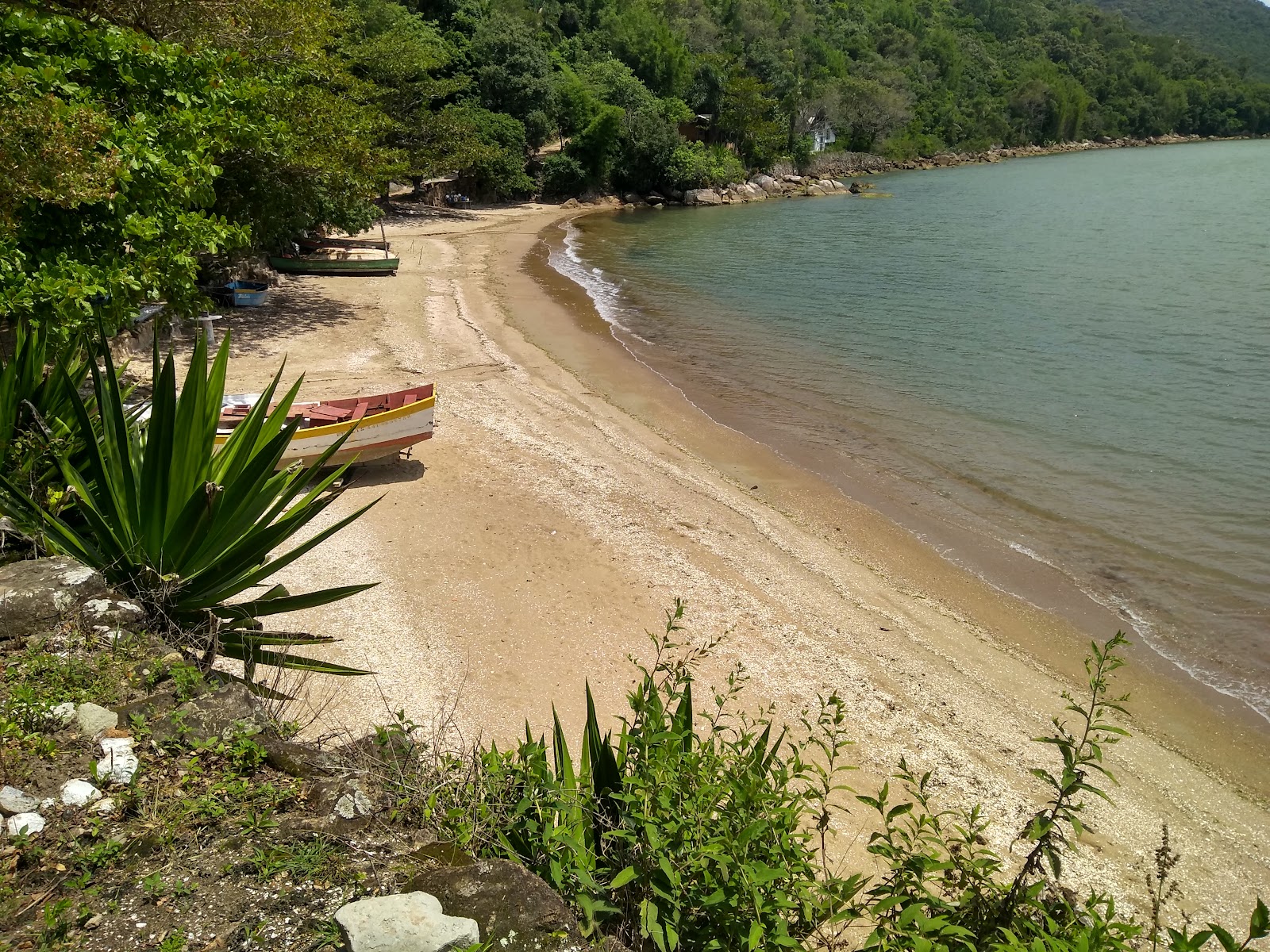 Fotografija Praia de Aracatuba divje območje