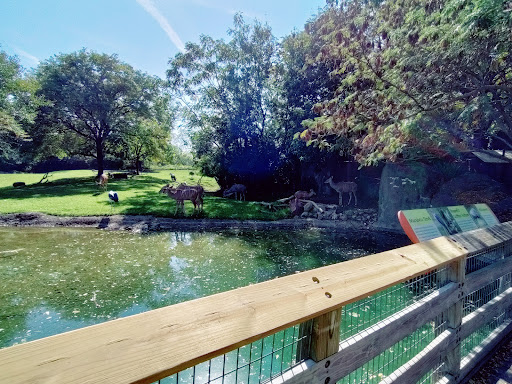 Zoo «Indianapolis Zoo», reviews and photos, 1200 W Washington St, Indianapolis, IN 46222, USA