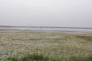 Madira lake image