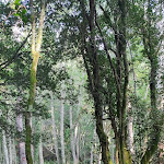 Photo n° 3 de l'avis de Nicolas. fait le 21/08/2018 à 14:03 pour U Fuconu à Zonza