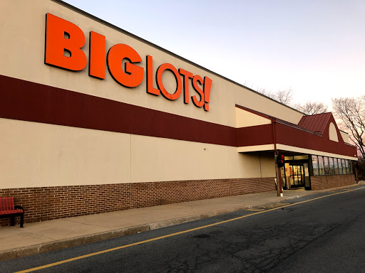 Big Lots, 467 W Penn Ave, Cleona, PA 17042, USA, 