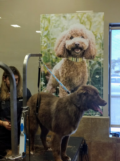 Pet Supply Store «PetSmart», reviews and photos, 2130 Gunbarrel Rd, Chattanooga, TN 37421, USA