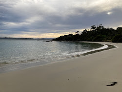 Photo de Planter Beach situé dans une zone naturelle