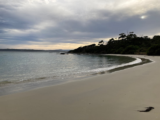 Planter Beach