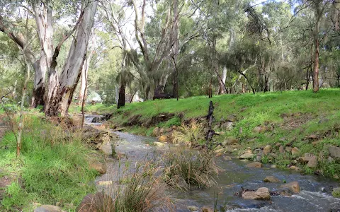 Wadmore Park (Pulyonna Wirra) image