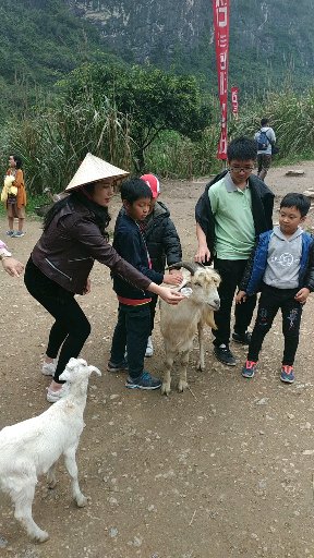 Top 20 cửa hàng ck Huyện Hoa Lư Ninh Bình 2022