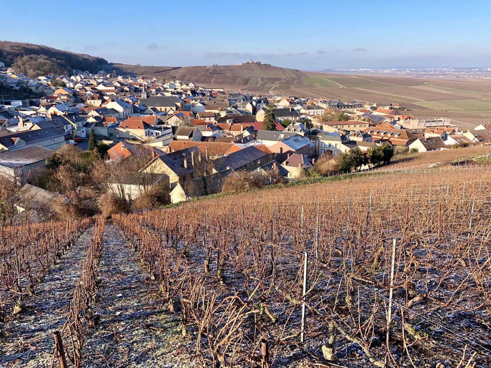 Photo n° 4 de l'avis de Benoit.i fait le 08/03/2023 à 04:25