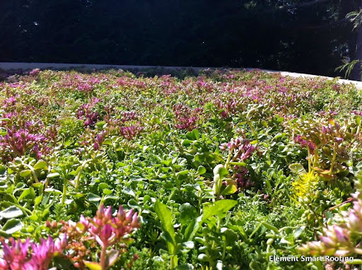 Roofing Contractor «Element Smart Roofing», reviews and photos, 1813 130th Ave NE #110, Bellevue, WA 98005, USA