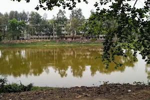 Bangabandhu Hall Pond image