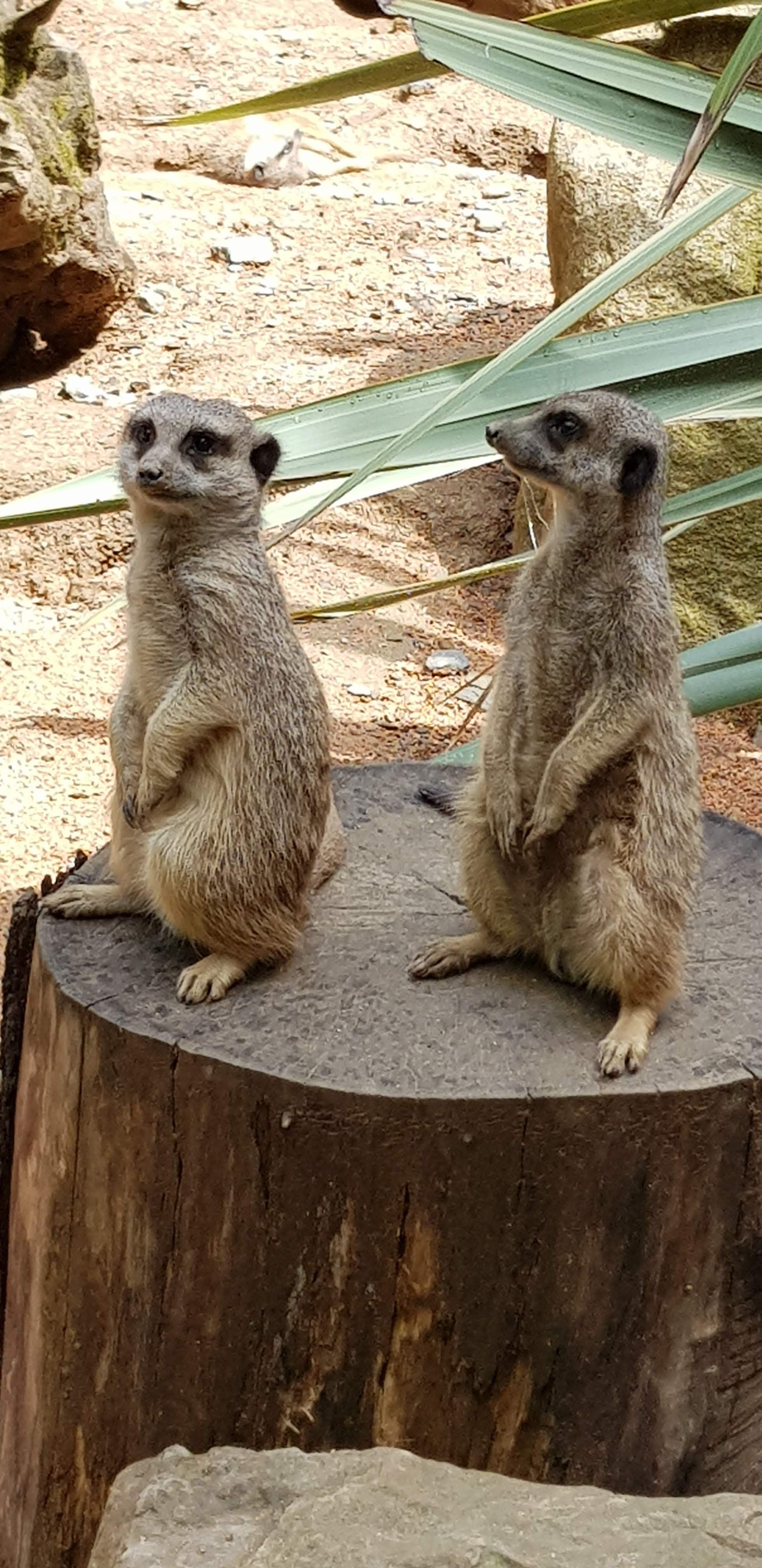 Photo n° 3 de l'avis de Frederic.a fait le 16/06/2023 à 07:23