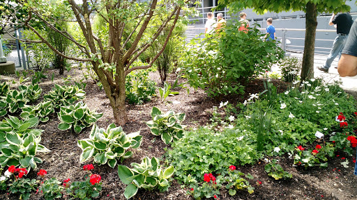 Park «Veterans Park», reviews and photos, 1 Naval Park Cove, Buffalo, NY 14202, USA