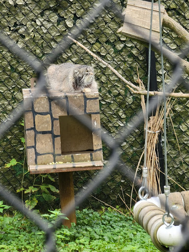 Zoo «Niabi Zoo», reviews and photos, 13010 Niabi Zoo Rd, Coal Valley, IL 61240, USA