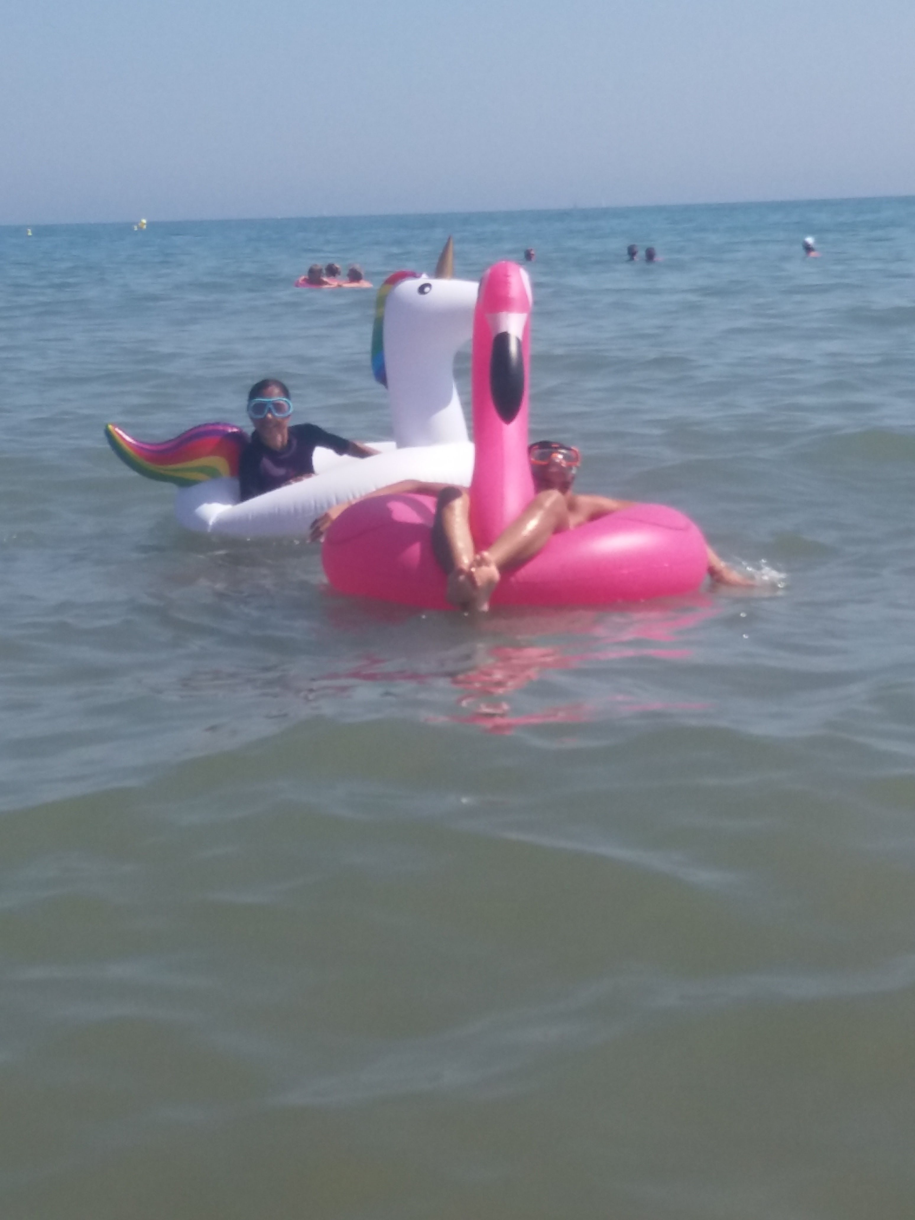 Photo n° 1 de l'avis de stephanie. fait le 26/08/2019 à 10:20