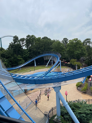 Roller Coaster «Griffon», reviews and photos, 1 Busch Gardens Blvd, Williamsburg, VA 23185, USA