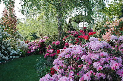 Trott's Garden