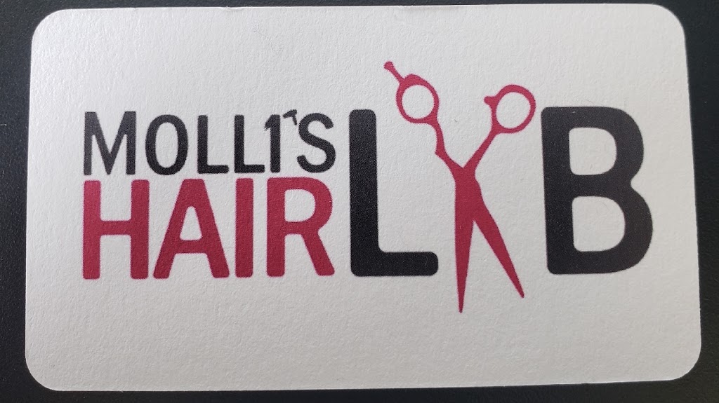 Molli's Hair Lab 45102