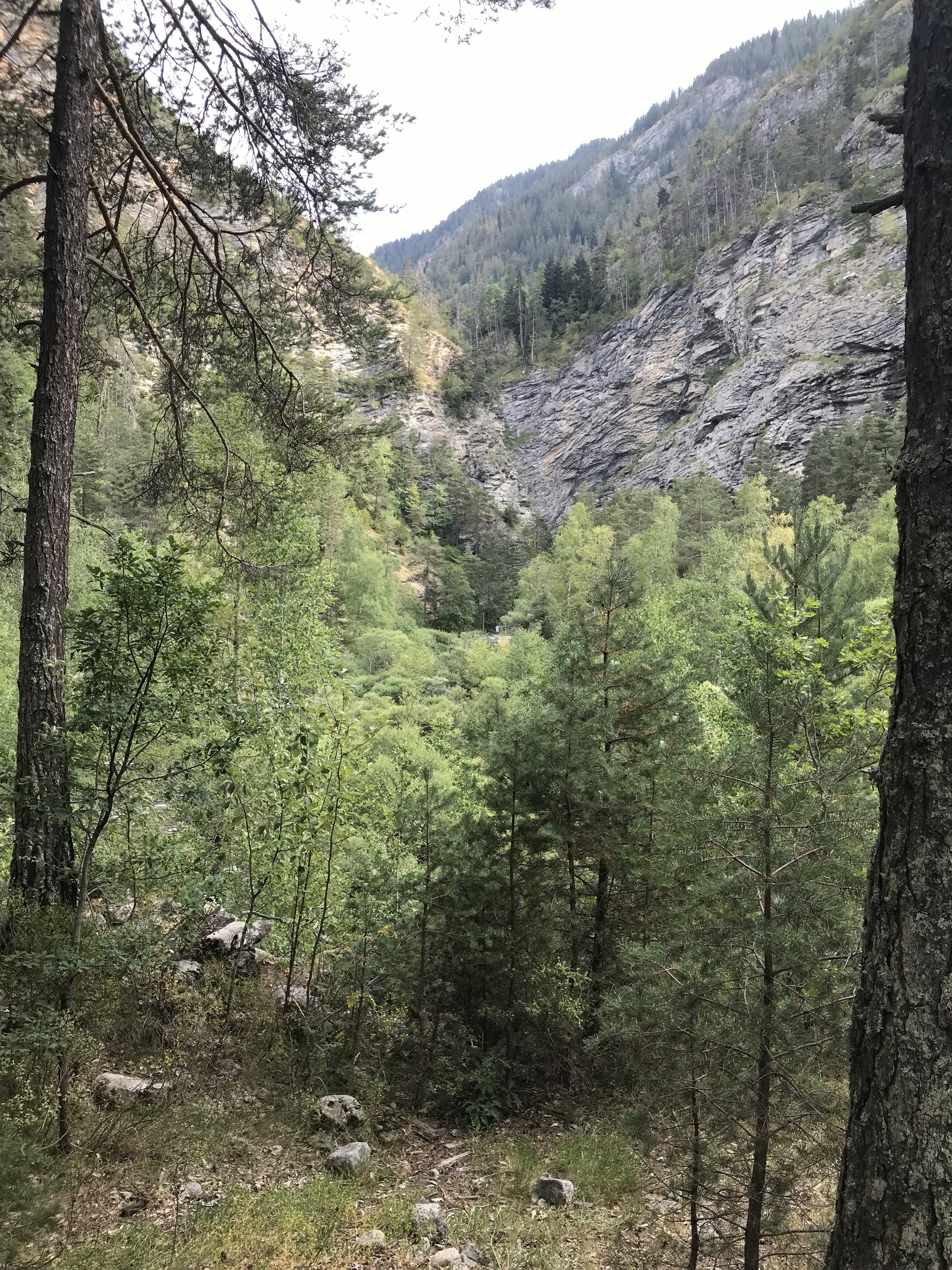 Photo n° 3 de l'avis de Michel.e fait le 16/09/2023 à 13:54