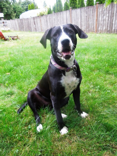 16024 60th St E, Sumner, WA 98390, USA