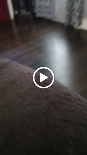 Toy Store «Learning Express of Westlake», reviews and photos, 30061 Detroit Ave, Westlake, OH 44145, USA