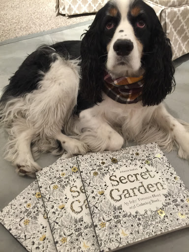 Toy Store «Kidstop», reviews and photos, 6990 E Shea Blvd #103, Scottsdale, AZ 85254, USA