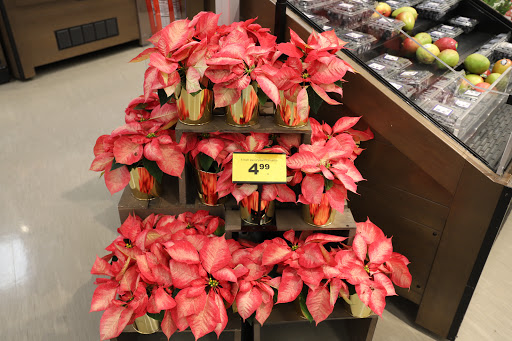 Grocery Store «Food Lion», reviews and photos, 38650 Sussex Hwy Unit 1, Delmar, DE 19940, USA