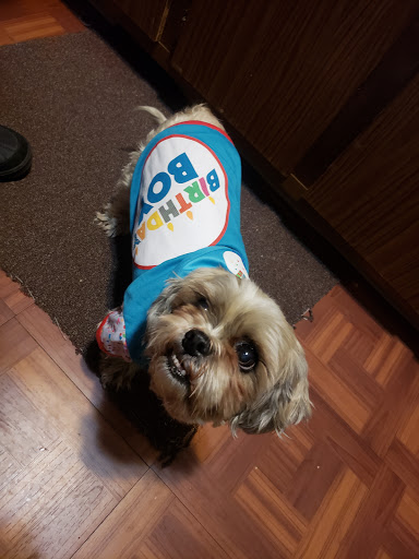 Pet Supply Store «Petco Animal Supplies», reviews and photos, 188 Kitts Ln, Newington, CT 06111, USA