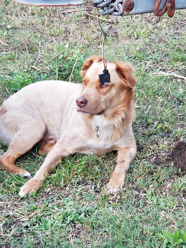 Club «Club 51 Degrees», reviews and photos, 121 W Congress St, Savannah, GA 31401, USA