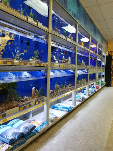 Pet Supply Store «PetSmart», reviews and photos, 3220 W Shaw Ave, Fresno, CA 93711, USA