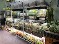 Next World Exotics - Photo 8 - Car repair in Boynton Beach, FL, West Palm Beach