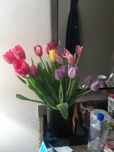 Hotel «Embassy Suites by Hilton Seattle North Lynnwood», reviews and photos, 20610 44th Ave W, Lynnwood, WA 98036, USA