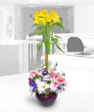 Florist «12th Street Florist», reviews and photos, 1701 E 12th St, Cleveland, OH 44114, USA