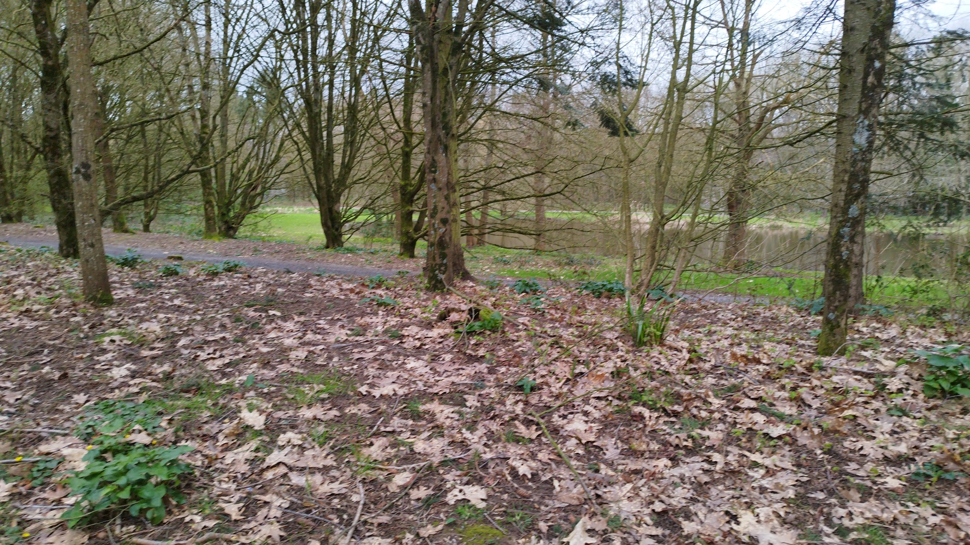 Photo n° 16 de l'avis de Eric.o fait le 09/05/2019 à 04:42