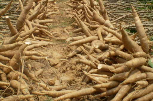 Top 3 cửa hàng bkav Huyện Tân Châu Tây Ninh 2022