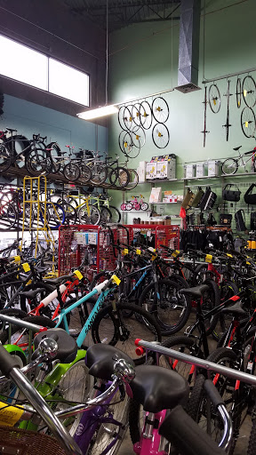 Bicycle stores and workshops Honolulu