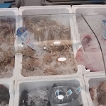 Photo n°3 de l'avis de Pasquale.a fait le 24/12/2023 à 08:21 sur le  Cefalù Bistrò di Pesce à Rome