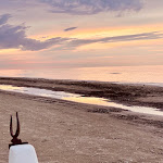 Photo n°3 de l'avis de claudia.o fait le 11/06/2023 à 07:41 sur le  Hotel Gabbiano à Senigallia