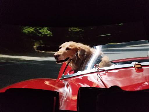 Movie Theater «Cinemark Christiana and XD», reviews and photos, 1200 Christiana Mall, Newark, DE 19702, USA