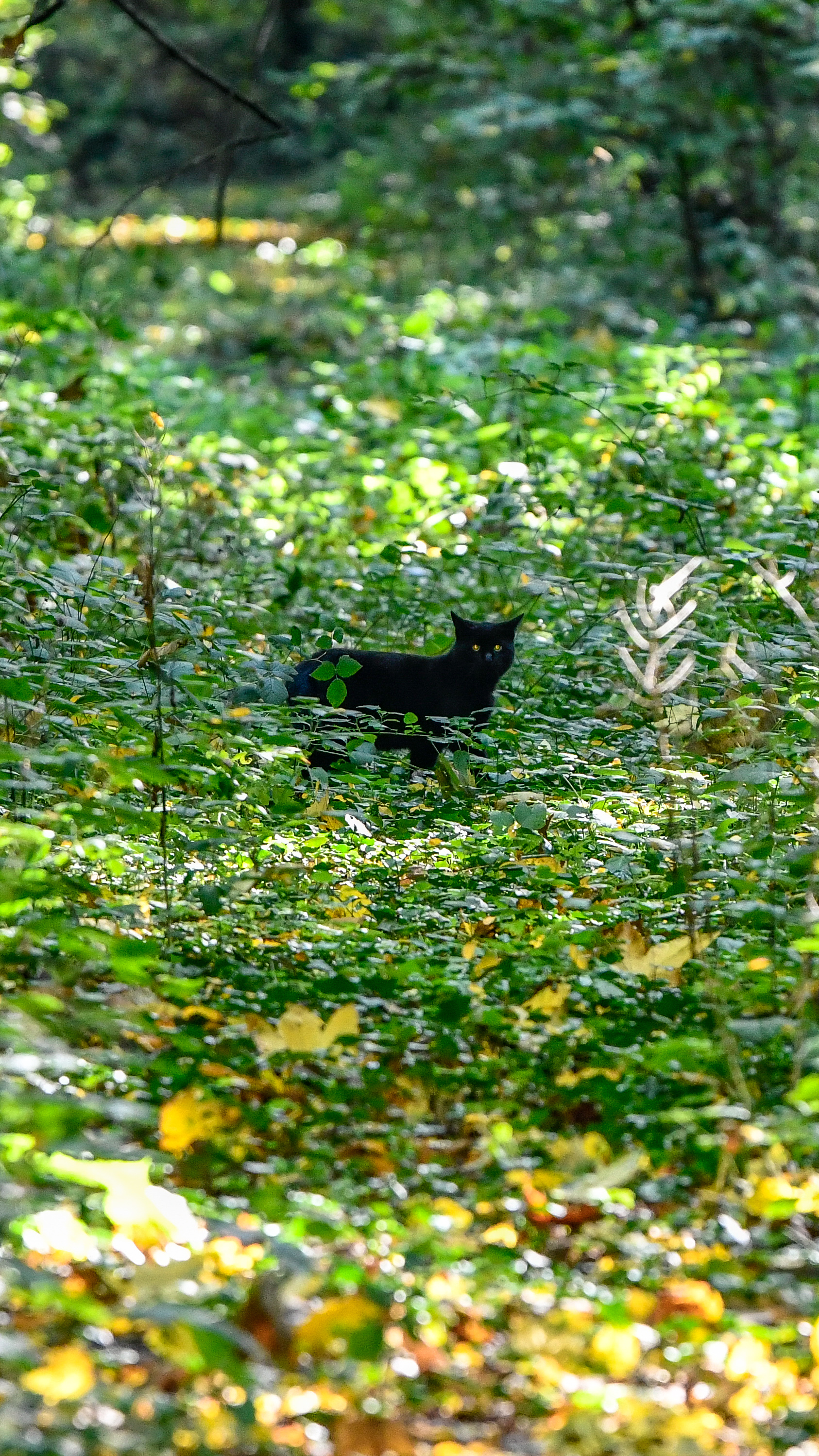 Photo n° 6 de l'avis de Marc.. fait le 17/10/2022 à 13:49