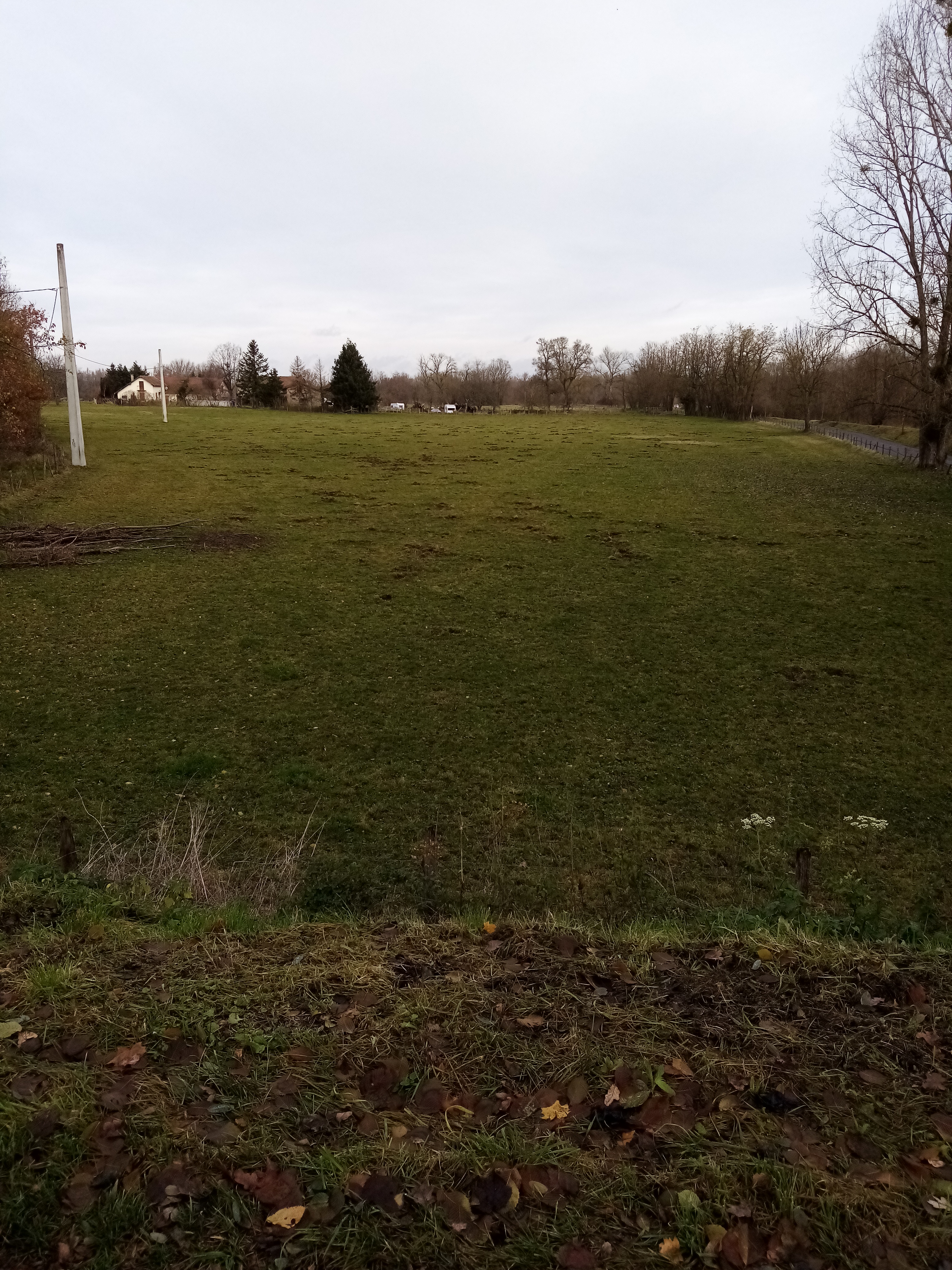 Photo n° 1 de l'avis de Jean.O fait le 05/01/2022 à 18:21