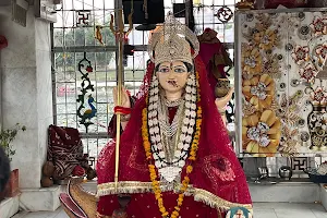 Shree Maa Narmada Temple image