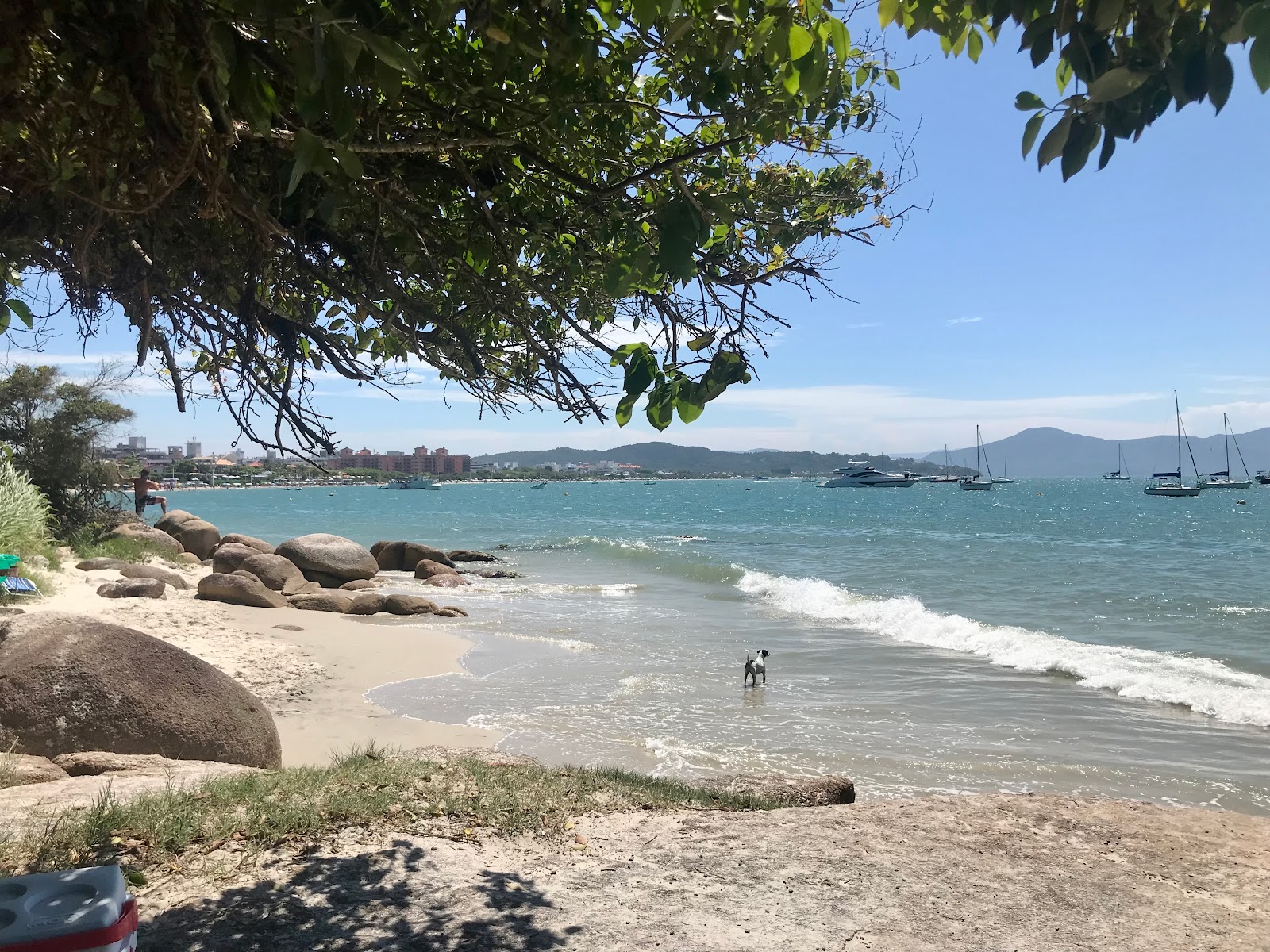 Foto di Praia do Canajure II e l'insediamento