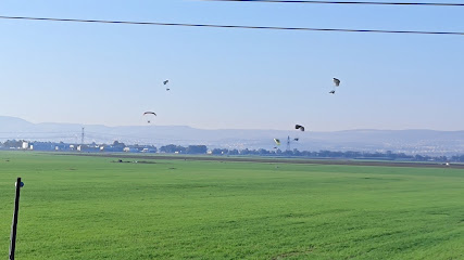 תמונה