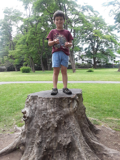 Park «132nd Square Park», reviews and photos, 13159 132nd Ave NE, Kirkland, WA 98034, USA