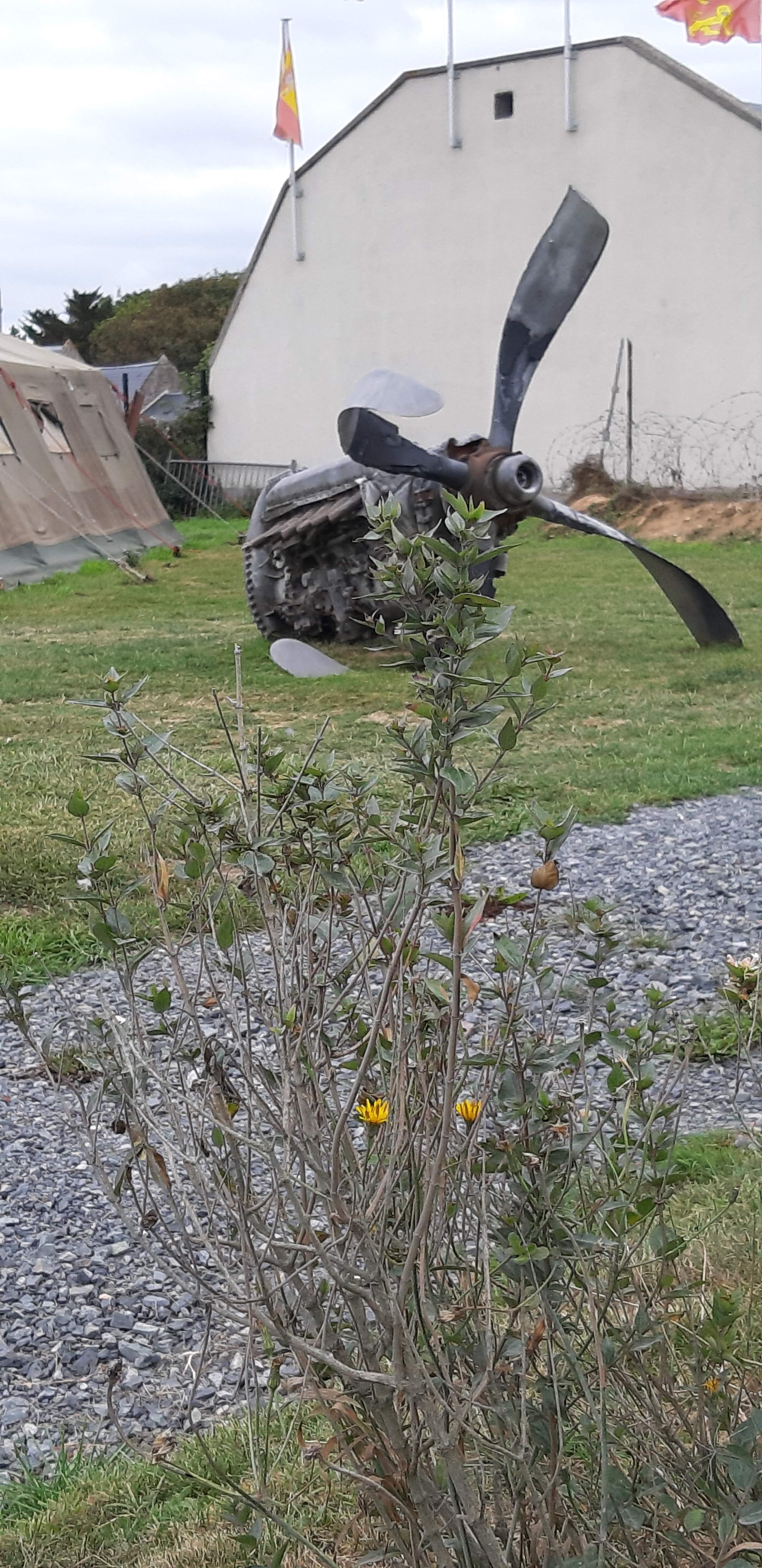 Photo n° 4 de l'avis de Did.o fait le 01/09/2019 à 22:41
