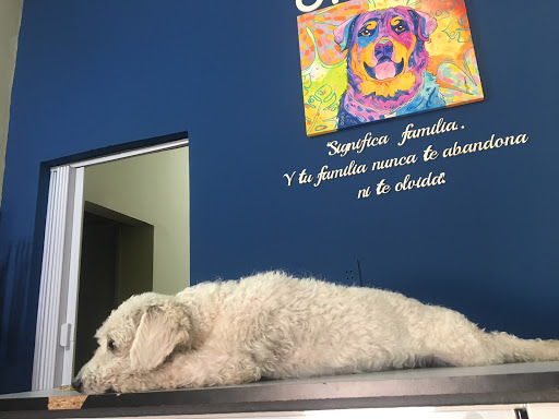 OHANA Clínica Veterinaria