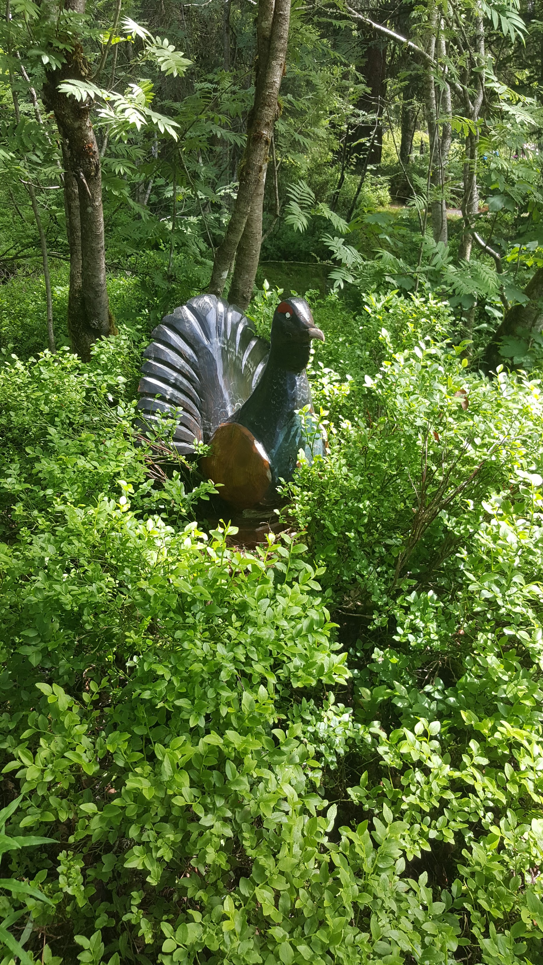 Photo n° 22 de l'avis de Jean-Sébastien.O fait le 23/06/2019 à 16:49